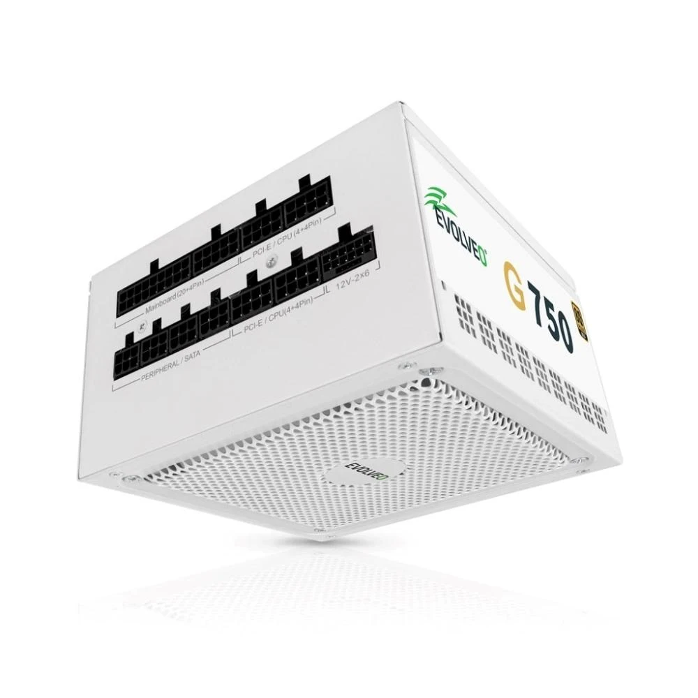 EVOLVEO G750, zdroj 750W, 80+ GOLD, ATX 3.1, aPFC, 140 mm ventilátor, plně modulární, záruka 3 roky, bílý aprašymas - Prekės nuotrauka