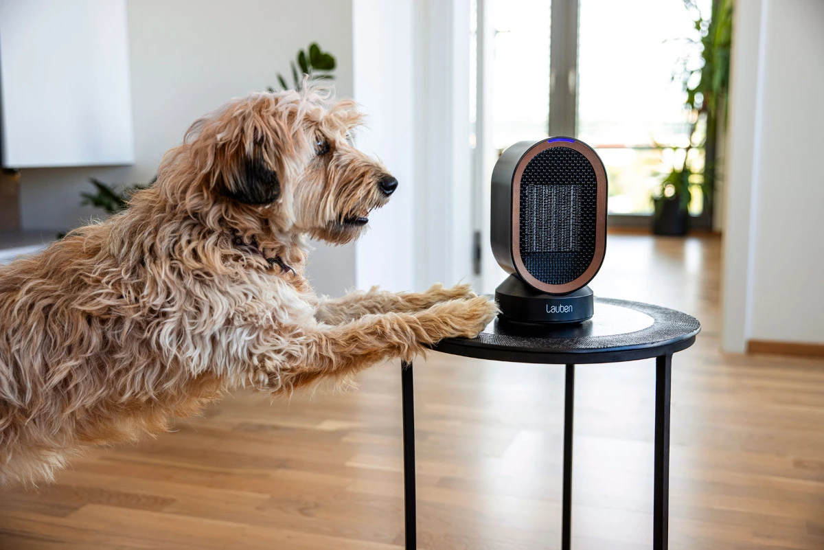 Wentylator Lauben Desk Fan&Heater 2in1 600BB aprašymas - Prekės nuotrauka