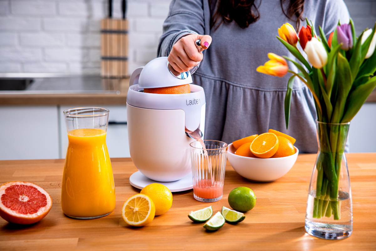 Sulčiaspaudė Citrus presser Lauben 110WT aprašymas - Prekės nuotrauka Sulčiaspaudė Citrus presser Lauben 110WT aprašymas - Prekės nuotrauka