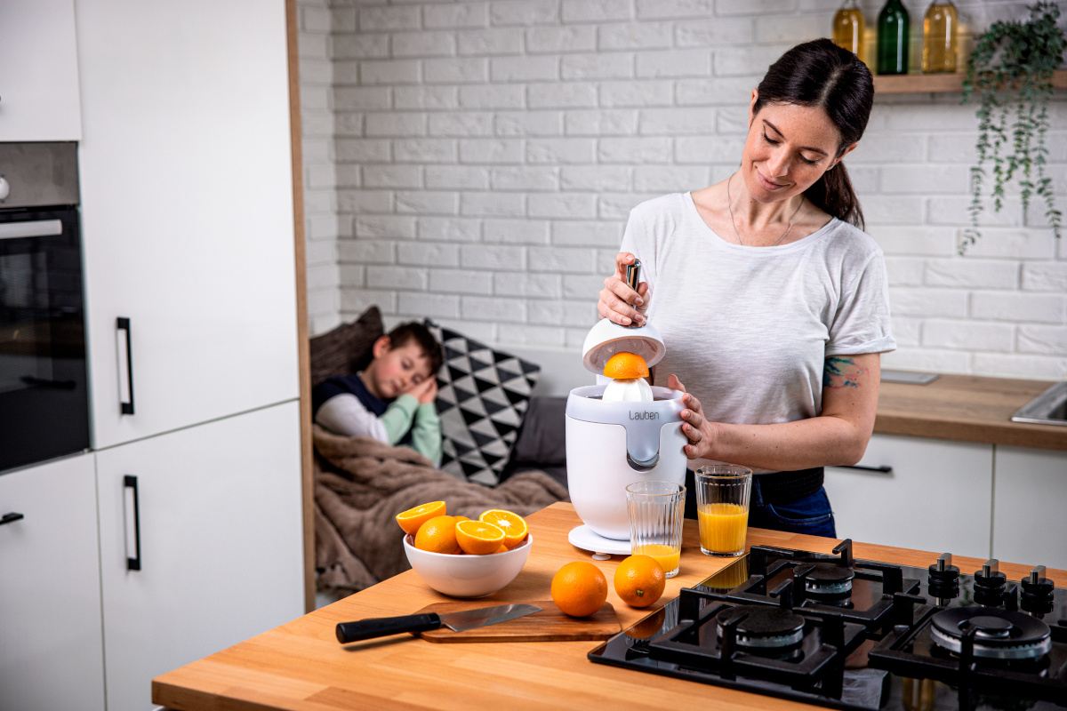 Sulčiaspaudė Citrus presser Lauben 110WT aprašymas - Prekės nuotrauka Sulčiaspaudė Citrus presser Lauben 110WT aprašymas - Prekės nuotrauka