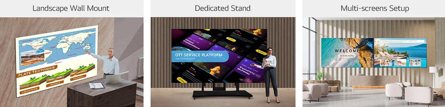 Monitorius LG 136