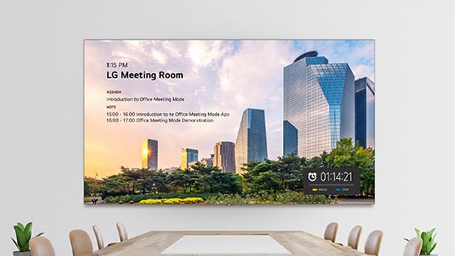 Monitorius LG 136