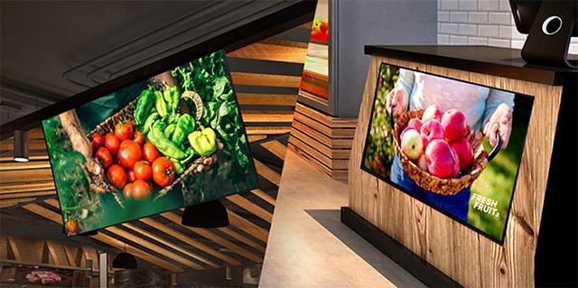 Monitorius LG 50