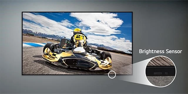 Monitorius LG 55