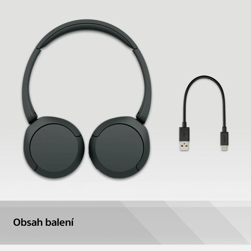Sony belaidės ausinės WH-CH520, ES, baltos aprašymas - Prekės nuotrauka