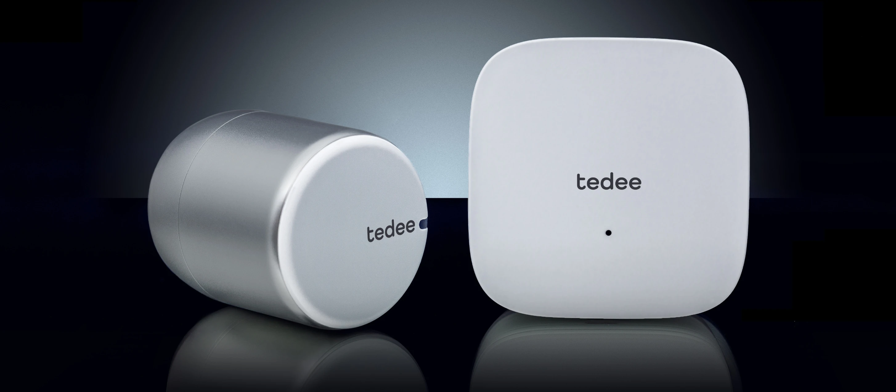 tedee – bridge aprašymas - Prekės nuotrauka