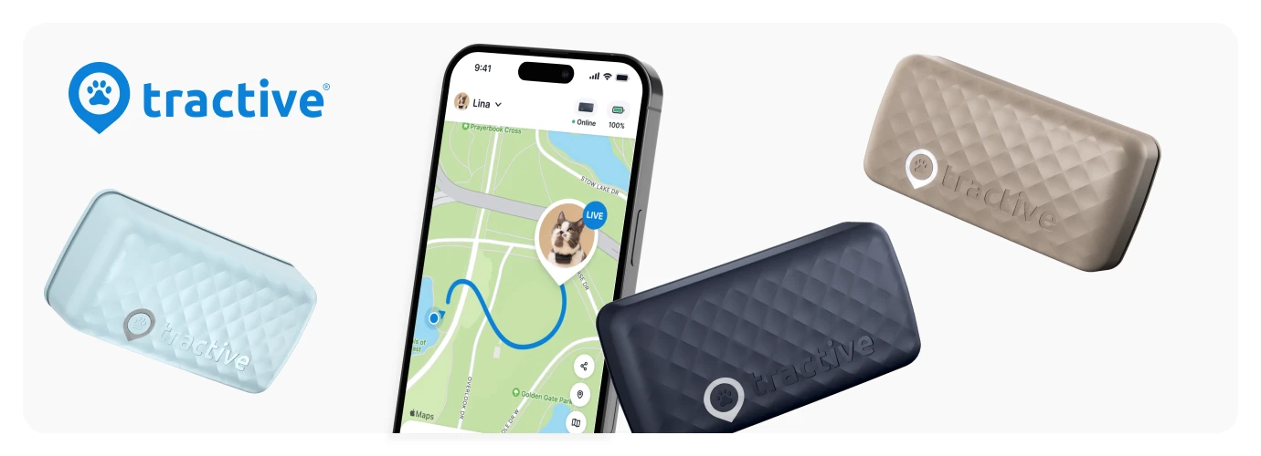 Tractive GPS CAT Mini GPS sekiklis katėms, rudas aprašymas - Prekės nuotrauka