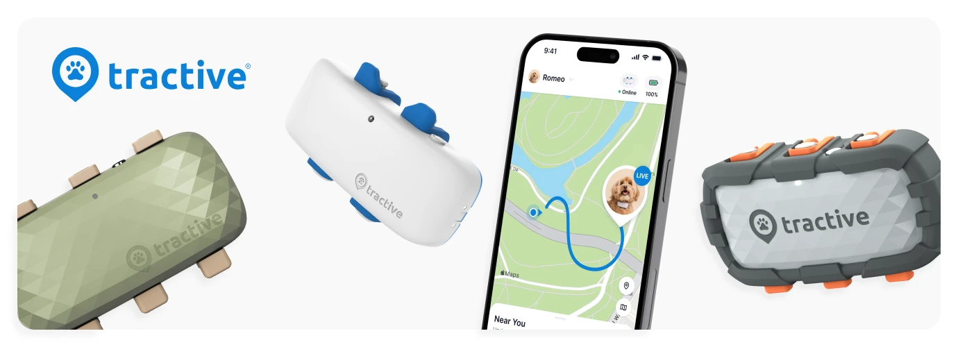 Tractive GPS DOG XL - vietos ir veiklos sekimas šunims - žalia aprašymas - Prekės nuotrauka