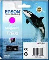 Epson T7603 | Rašalo kasetė | Magenta