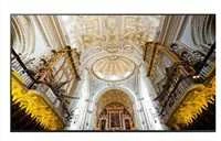 Monitorius SAMSUNG 85" QM85C UHD 500 NITS 24/7 SOC WIFI