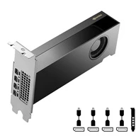Vaizdo plokštė Pny Technologies PNY RTX PRO 2000 Blackwell NVIDIA 16 GB GDDR7