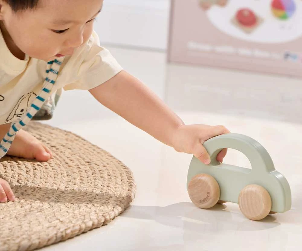 Edukacinių žaislų rinkinys Little Explorers VIGA