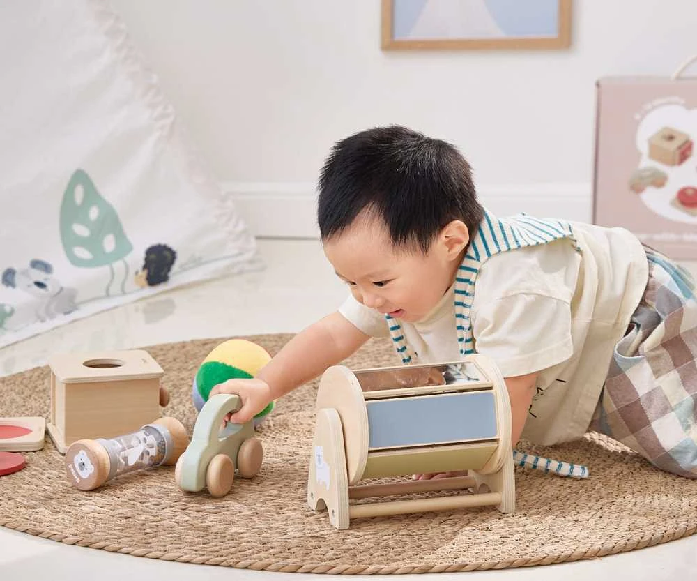 Edukacinių žaislų rinkinys Little Explorers VIGA