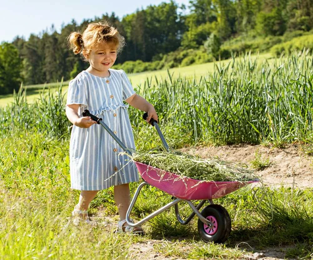 Rolly Toys 274802 Rožinė metalinis karutis