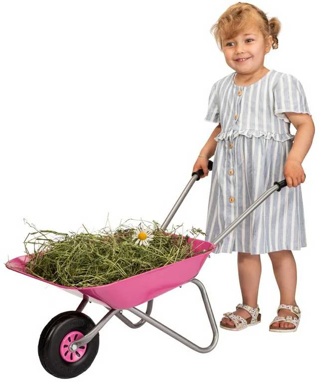 Rolly Toys 274802 Rožinė metalinis karutis