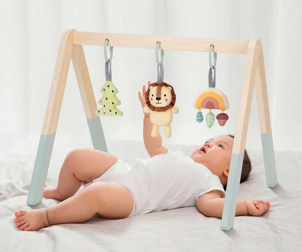 Tooky Toys Lavinamasis stovas kūdikiams Tooky Toy Baby Gym
