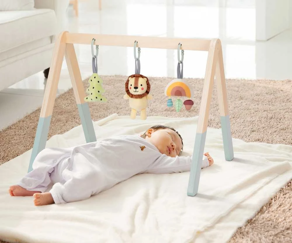 Tooky Toys Lavinamasis stovas kūdikiams Tooky Toy Baby Gym