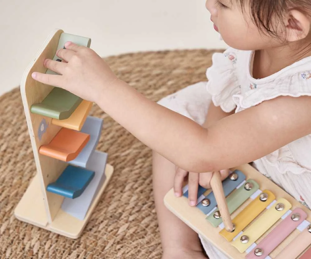 Edukacinių žaislų rinkinys vaikams VIGA Colour Crafters