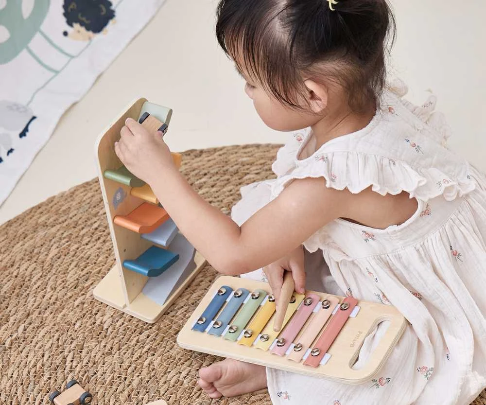 Edukacinių žaislų rinkinys vaikams VIGA Colour Crafters