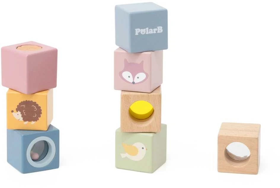 Dėlionė Medinės sensorinės kaladėlės VIGA PolarB