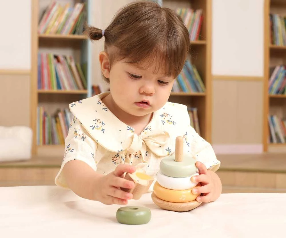Dėlionė Viga Toys Medinė edukacinė piramidė VIGA PolarB