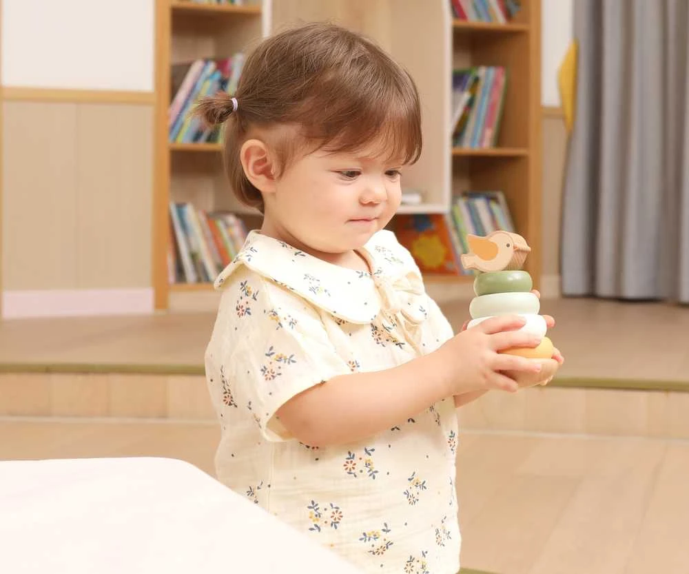 Dėlionė Viga Toys Medinė edukacinė piramidė VIGA PolarB