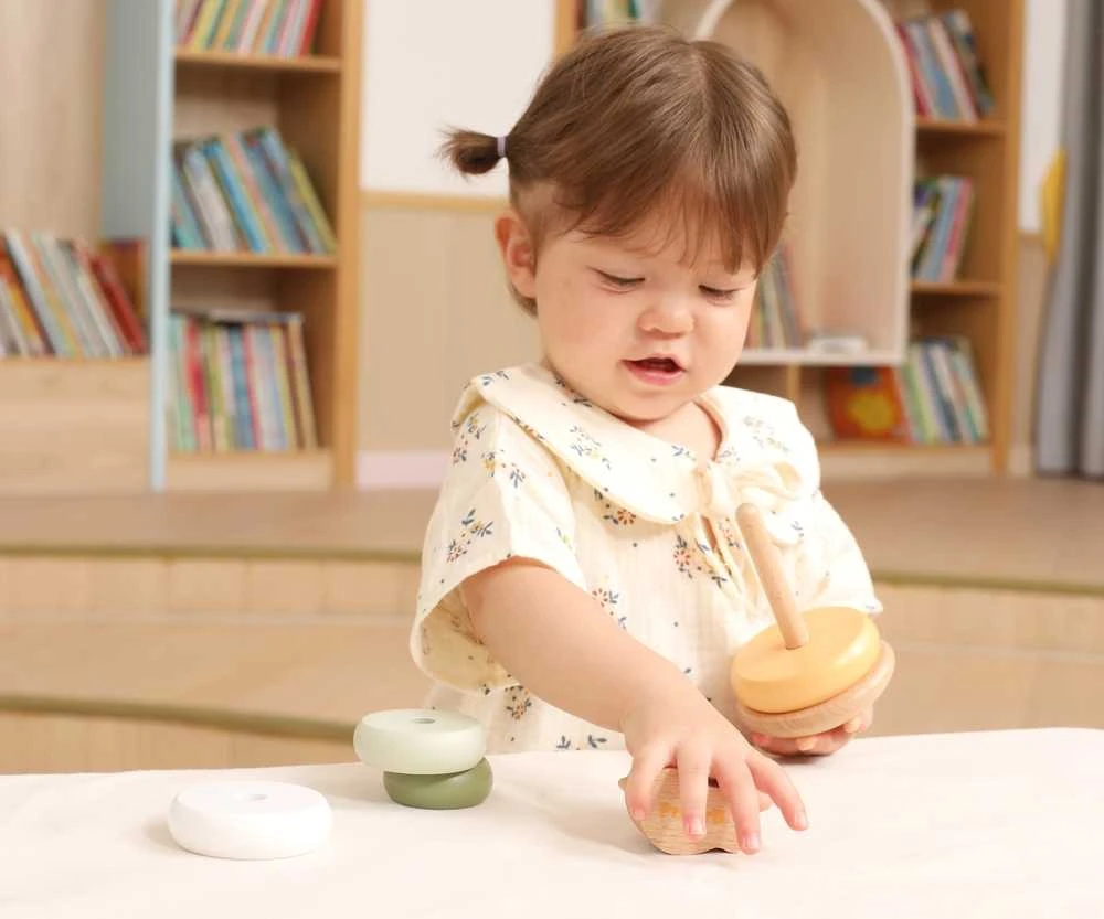 Dėlionė Viga Toys Medinė edukacinė piramidė VIGA PolarB