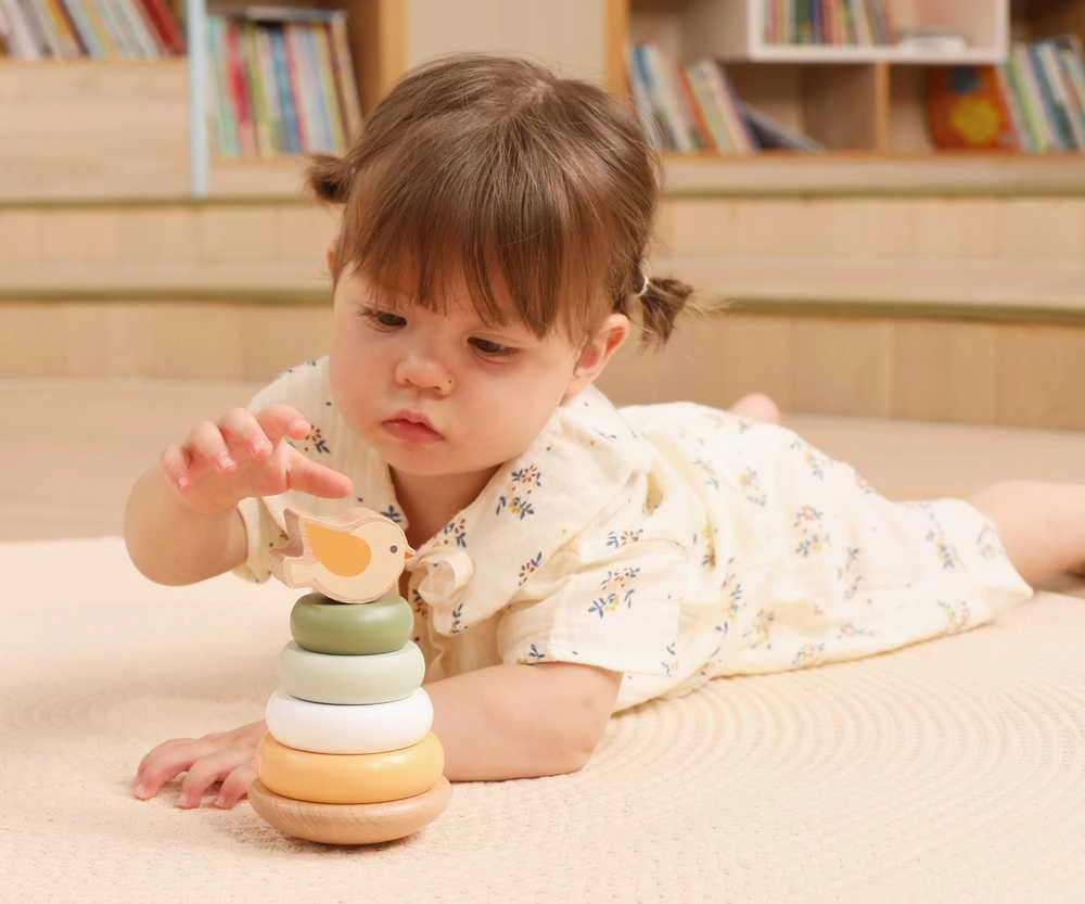 Dėlionė Viga Toys Medinė edukacinė piramidė VIGA PolarB