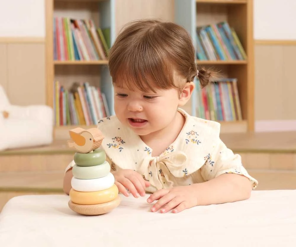 Dėlionė Viga Toys Medinė edukacinė piramidė VIGA PolarB