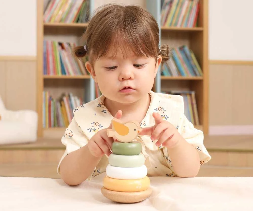 Dėlionė Viga Toys Medinė edukacinė piramidė VIGA PolarB