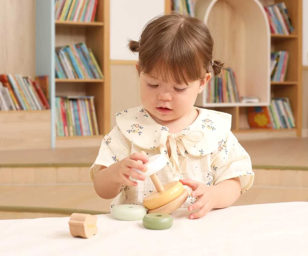 Dėlionė Viga Toys Medinė edukacinė piramidė VIGA PolarB