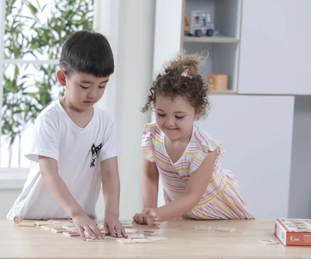 Viga Toys Medinis edukacinis žaidimas formų rūšiavimo dėlionė VIGA 37vnt