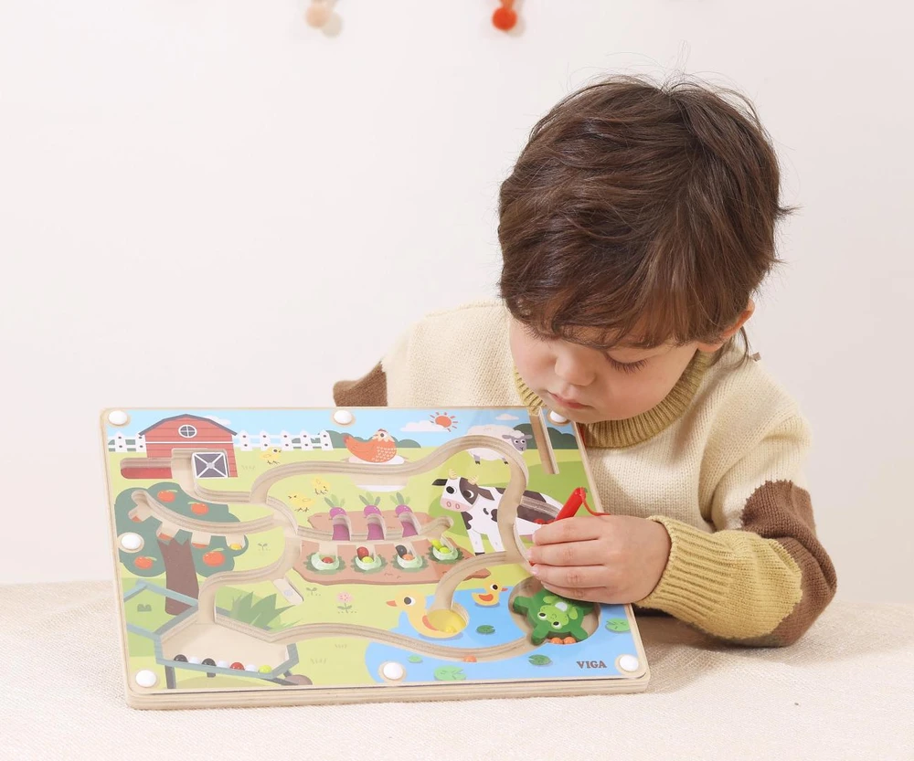 Bkids Viga 44851 Magnetinio labirinto diena ūkyje