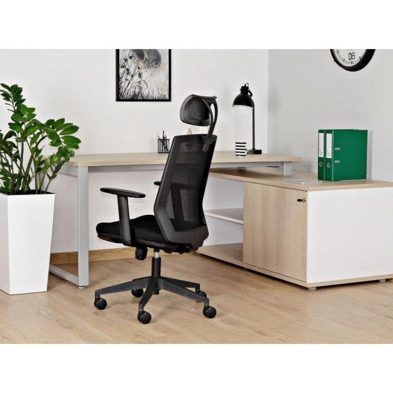 Ergonomiška biuro kėdė darbui Esta