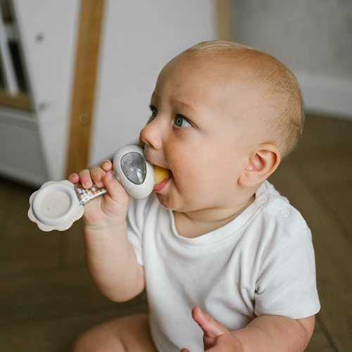 Baby Ono BabyOno barškutis su kramtuku bitė 1591