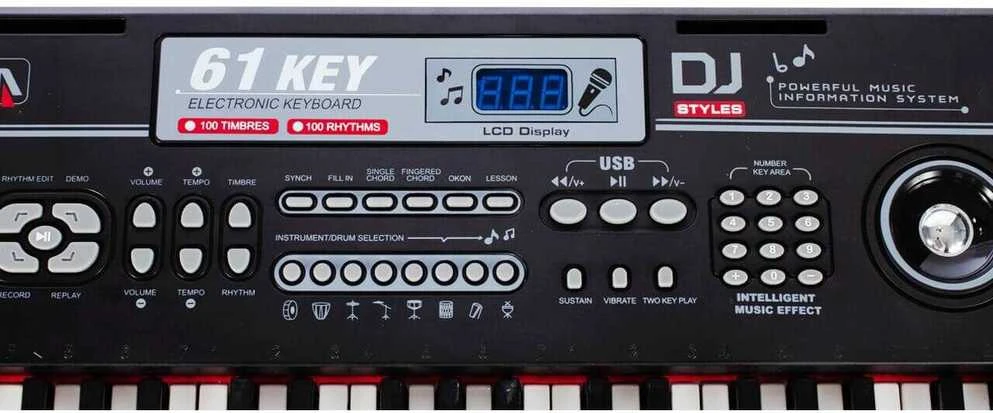 Malplay Didelis vaikiškas pianinas su mikrofonu, 61 klavišas
