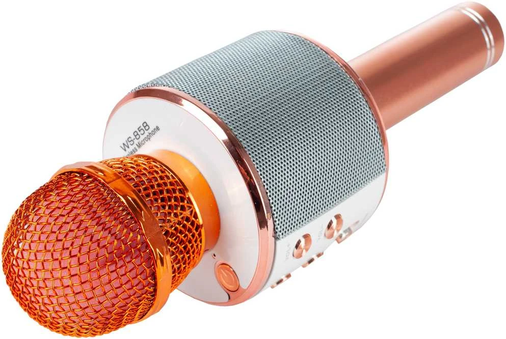 Malplay Žaislinis Karaoke Bluetooth mikrofonas