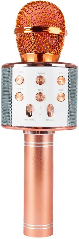 Malplay Žaislinis Karaoke Bluetooth mikrofonas