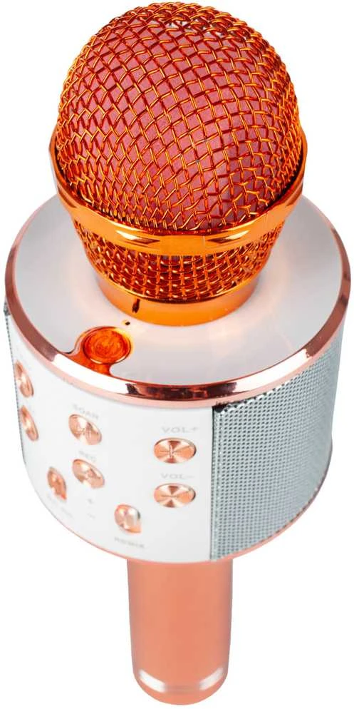 Malplay Žaislinis Karaoke Bluetooth mikrofonas