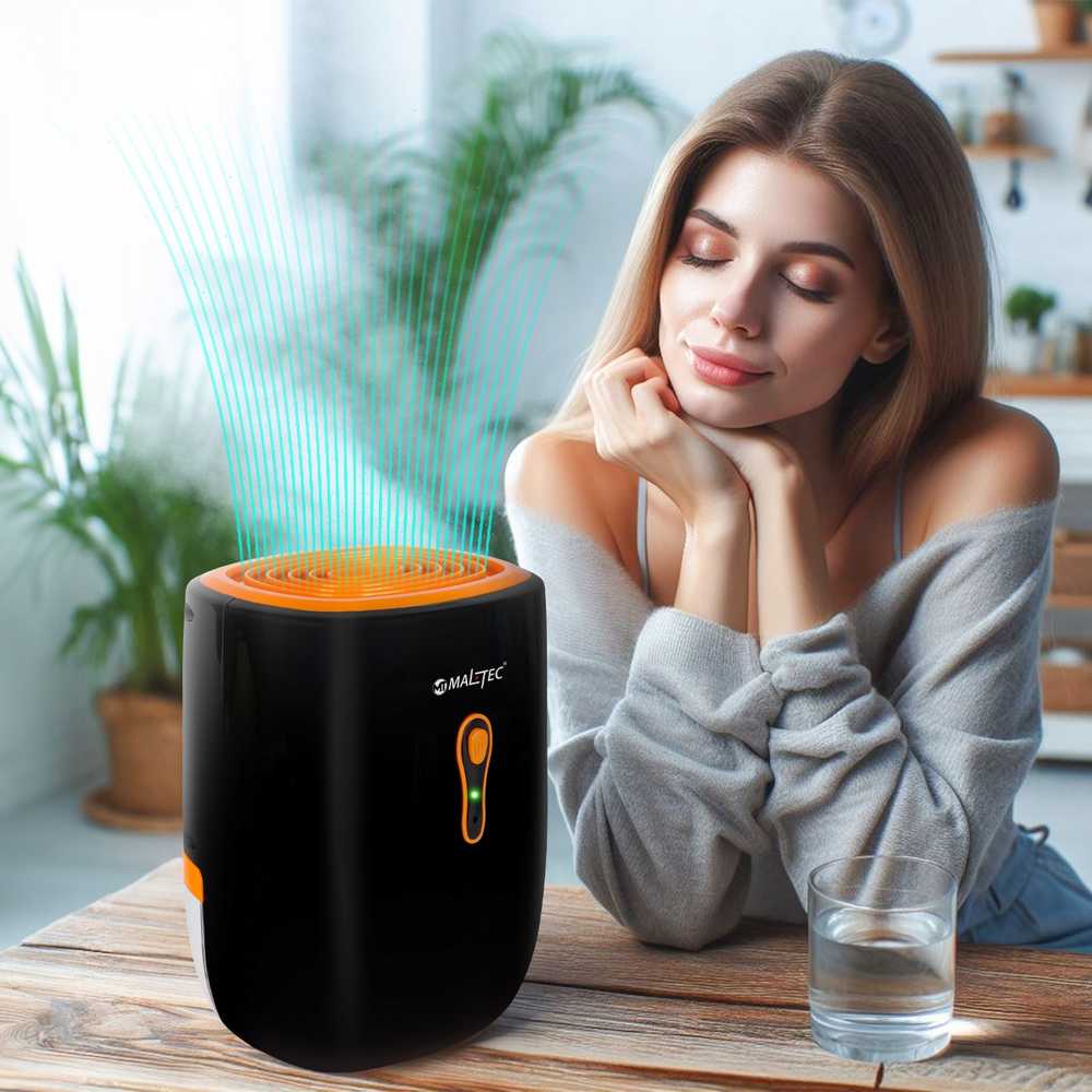 Oro sausintuvas, drėgmės sugėriklis Maltec DH-800 22W