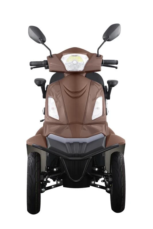 Elektrinis keturratis motoroleris HS650.EEC 1000W 20AH - Ruda