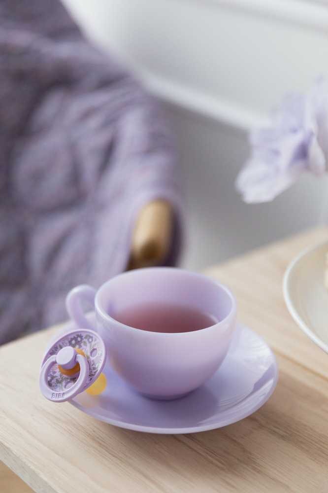 BIBS čiulptukų rinkinys 1 dydis (0 - 6 mėn.) Liberty Chamomile Lawn Violet Sky Mix