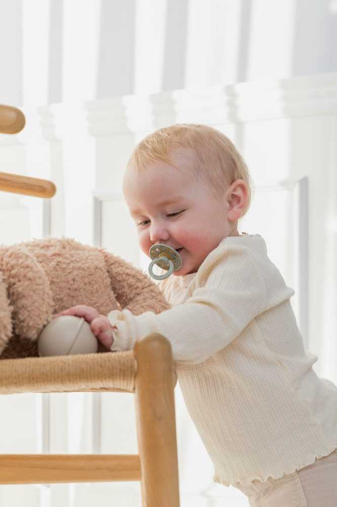 BIBS čiulptukų rinkinys 1 dydis (0 - 6 mėn.) Liberty Eloise Sage Mix