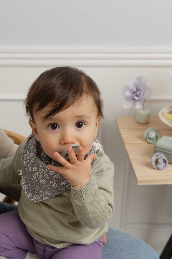 BIBS čiulptukų rinkinys 1 dydis (0 - 6 mėn.) Liberty Eloise Sage Mix