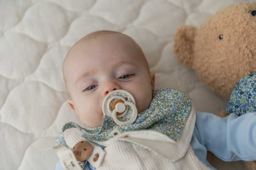 BIBS čiulptukų rinkinys 1 dydis (0 - 6 mėn.) Liberty Eloise Sage Mix