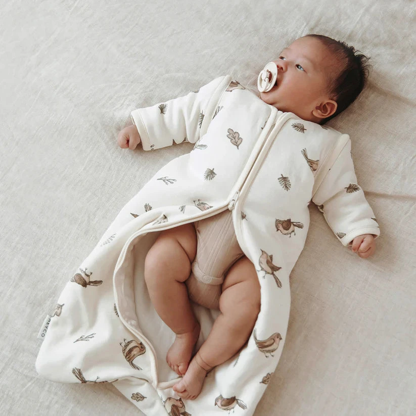 Meyco Baby kūdikio miegmaišis su nusegamomis rankovėmis Robin Multicolour, TOG 2.5