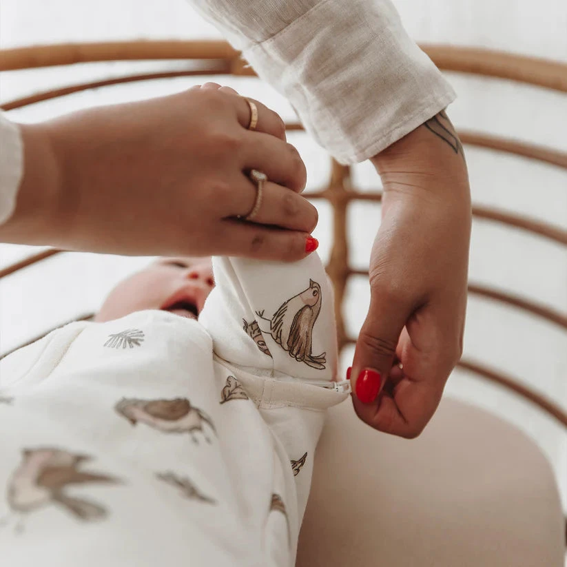 Meyco Baby kūdikio miegmaišis su nusegamomis rankovėmis Robin Multicolour, TOG 2.5