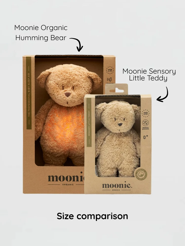 Moonie sensorinis minkštas žaislas Little Teddy Cappuccino