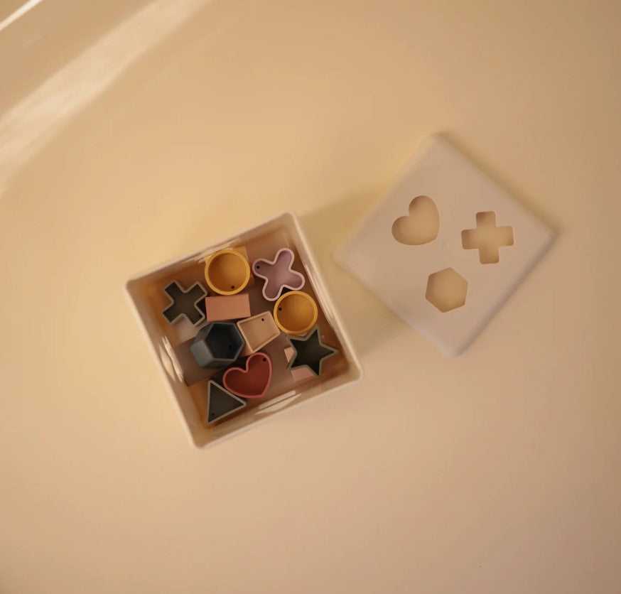 Mushie lavinamasis rūšiavimo žaislas Coin & Tube Sorting Set