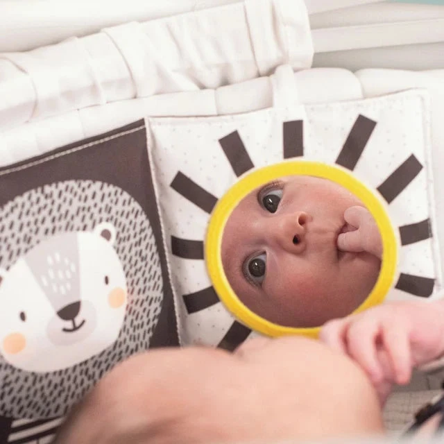 Taf Toys dvipusė kontrastinė knygelė kūdikiui Savannah Juodas & Baltas Book, 0 mėn.+